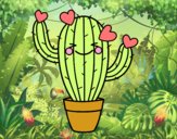 Cactus corazón