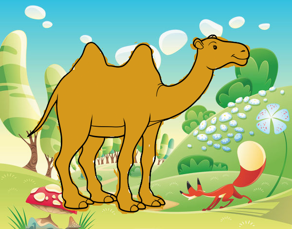 camello mariajo