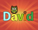 David