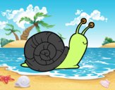 El caracol