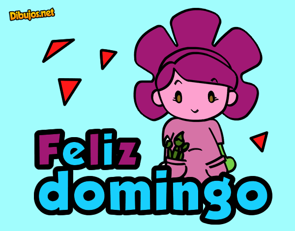 Feliz domingo