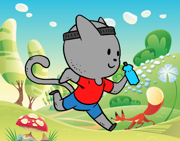 Gato runner