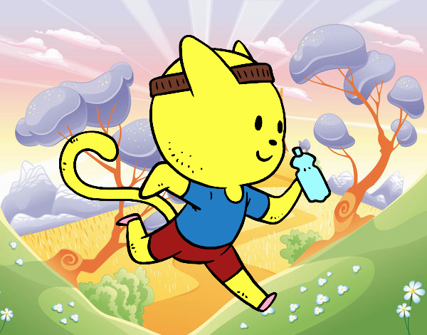 Gato runner