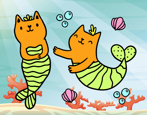 gatos bebé  sirena 