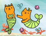 Gatos sirena