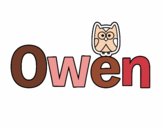 Owen