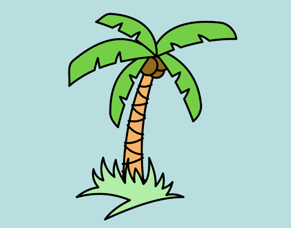 Palmera tropical