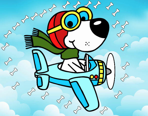 Perro piloto