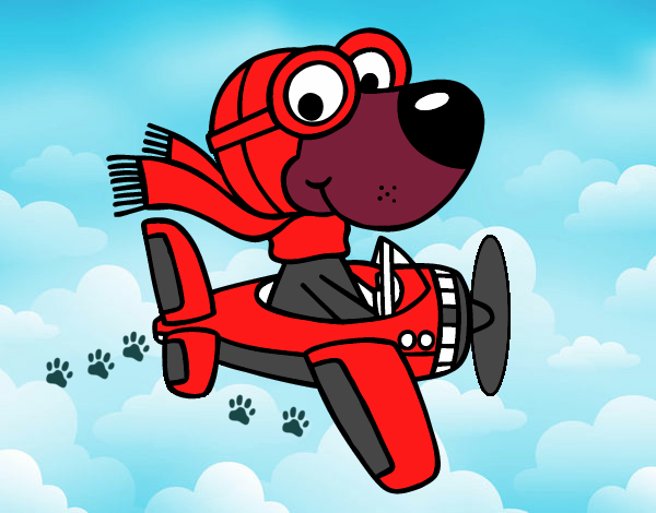 Perro piloto