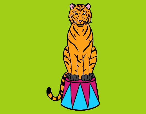 Tigre de circo