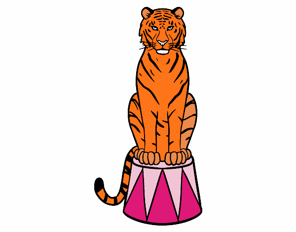 Tigre de circo