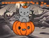 Un gatito de Halloween