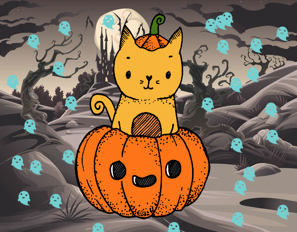 Un gatito de Halloween