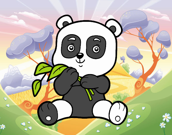 Un oso panda