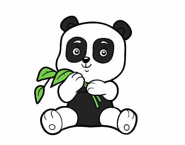 Un oso panda