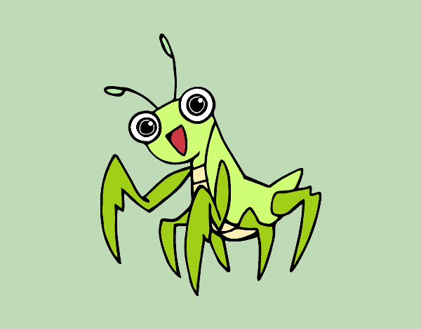mantis sonriente