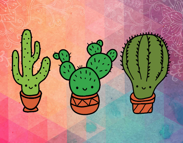 3 mini cactus