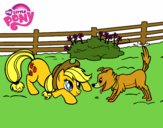 Applejack y Winona