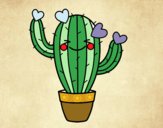 Cactus corazón