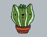 Cactus gato