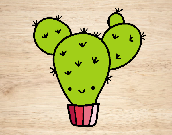 Cactus nopal