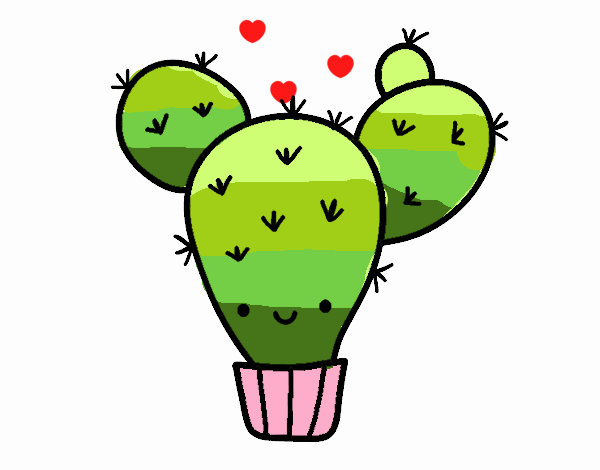 Cactus nopal