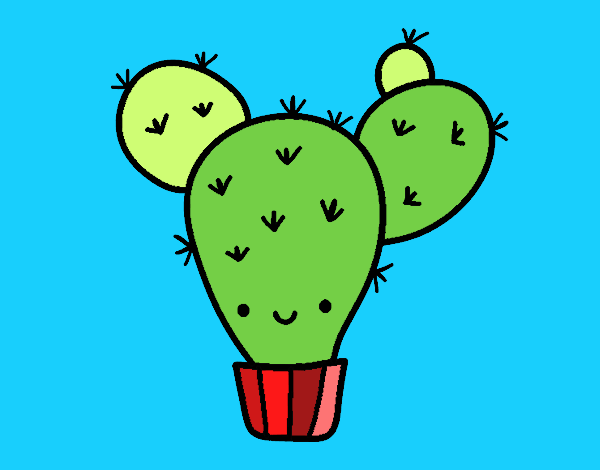 Cactus nopal