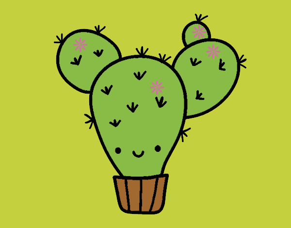 Cactus nopal