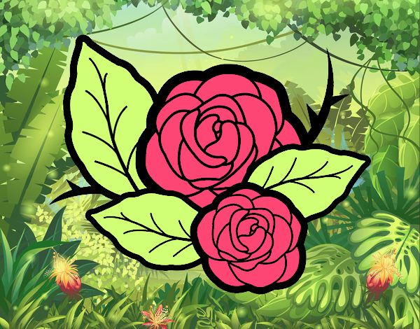 Dos rosas