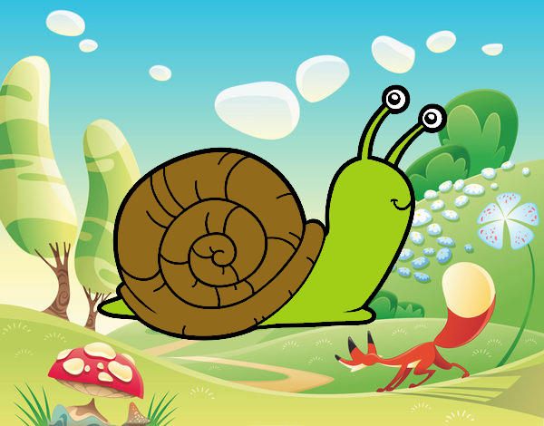 caracol