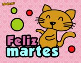 Feliz martes