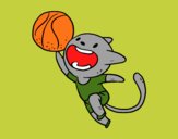 Gato jugando a baloncesto