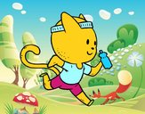 Gato runner