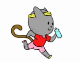 Gato runner