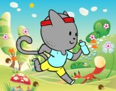 Gato runner