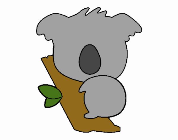 Koala bebé