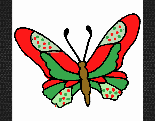 Mariposa 6a