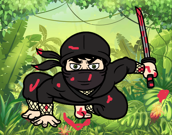 Ninja japonés