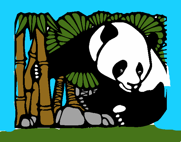 Oso panda y bambú