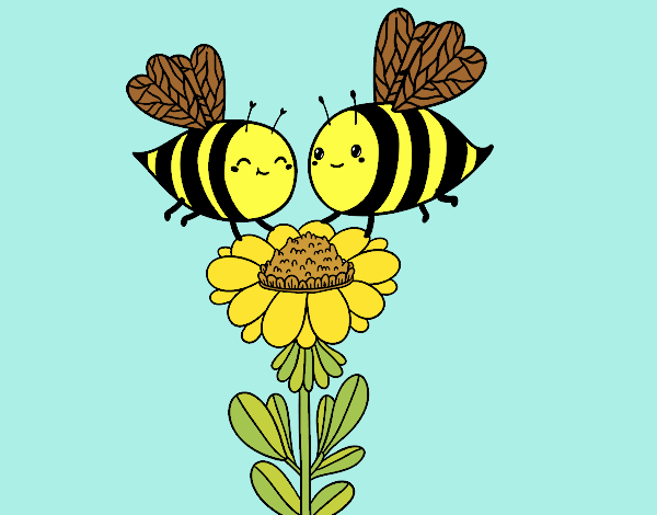 Pareja de abejas