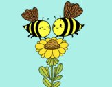 Pareja de abejas