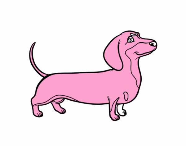 https://cdn5.dibujos.net/dibujos/pintados/202027/perro-salchicha-animales-perros-11874490.jpg