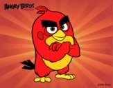 Red de Angry Birds