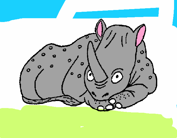 Rinoceronte 1