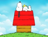 Snoopy durmiendo