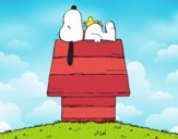 Snoopy durmiendo