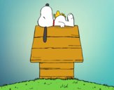 Snoopy durmiendo