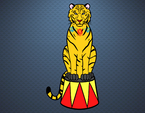 Tigre de circo