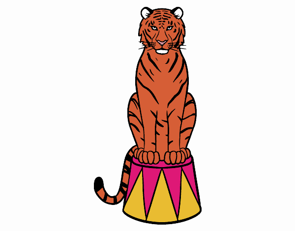 Tigre de circo