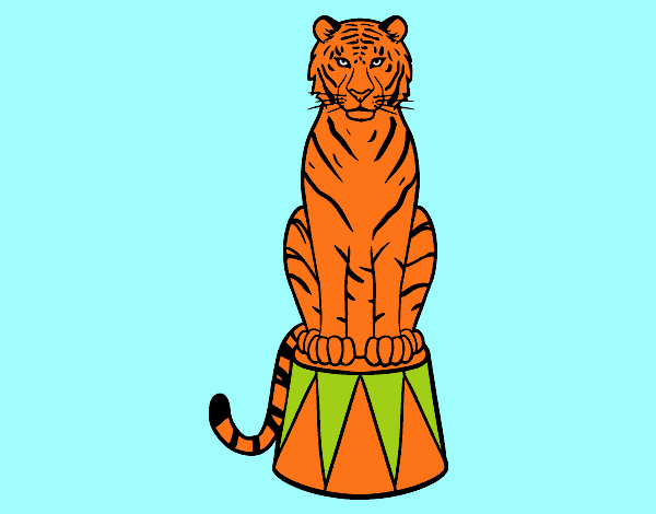 Tigre de circo